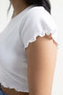 White Fitted Cropped T-Shirt