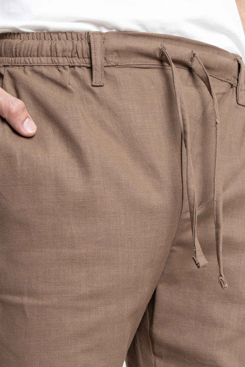 The Brown Regular Fit Shorts