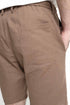 The Brown Regular Fit Shorts