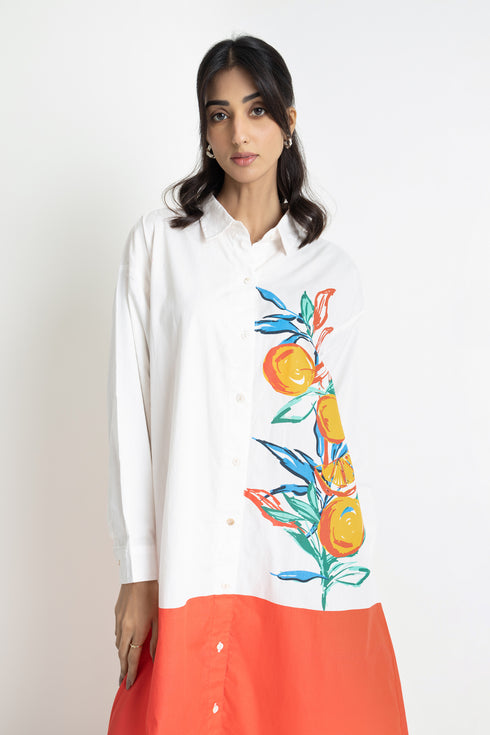 The White & Red Shirt Dress