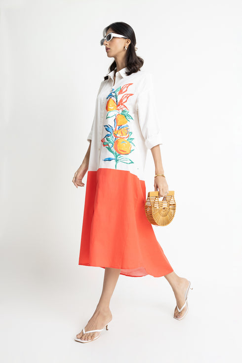 The White & Red Shirt Dress