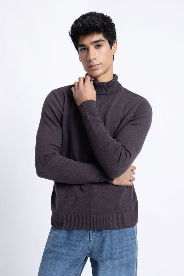 The Plum Truffle Regular Fit Turtleneck Sweater