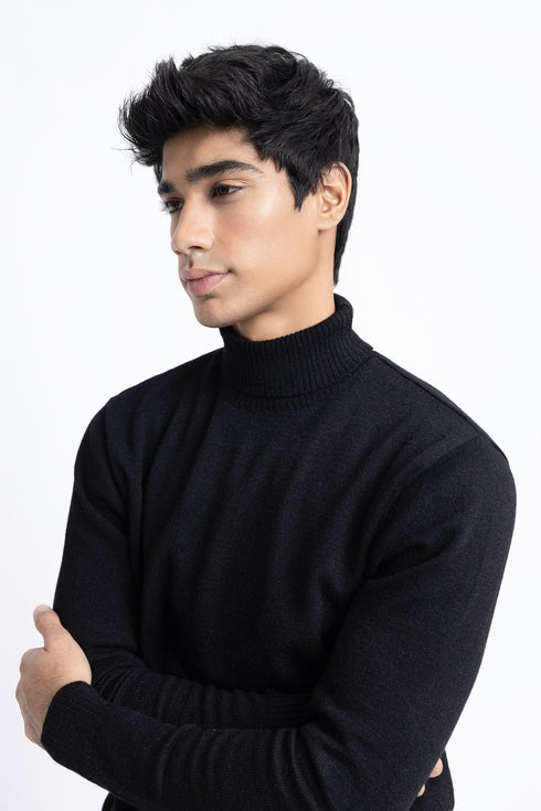 The Black Regular Fit Turtleneck Sweater