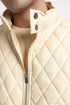 The Vanilla Regular Fit Gillet
