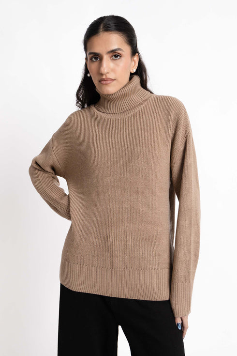 The Turtle Neck Sweater